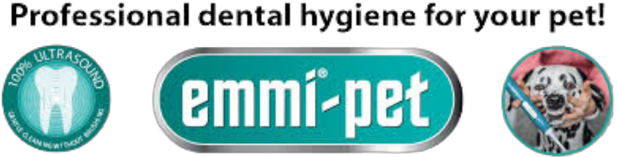 Dog getting ultrasonic teeth cleaning